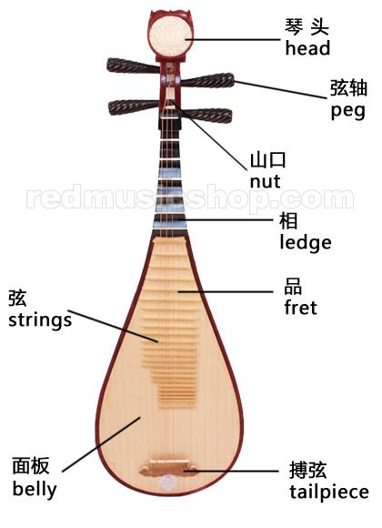 Xinghai Pipa,Chinese Pipa lute - Red Music Shop