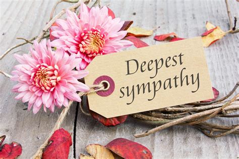 The Six Etiquette Rules To Remember When Sending Your Condolences Sympathy Cards Sympathy