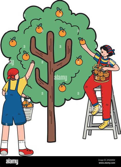 Farmers Are Picking Fruit From Trees Illustration In Doodle Style