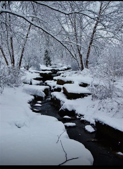 Ohio winter | Winter scenery, Scenery, Winter photo