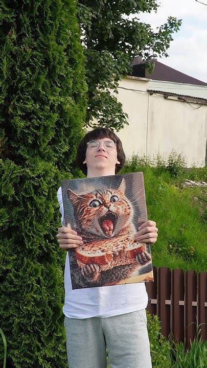 АЛМАЗНАЯ МОЗАИКА КОТА ОБЖОРЫ - YouTube