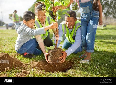 Los voluntarios de la familia plantar un árbol en sunny park Fotografía