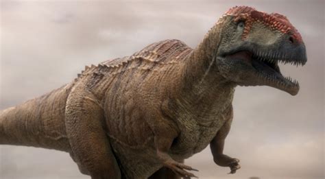 The Top 10 Deadliest Dinosaurs - Owlcation