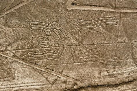 Nazca Lines Spider 16191510 Stock Photo at Vecteezy