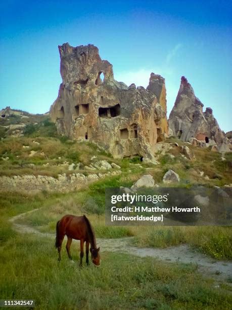 Cappadocia Horse Photos And Premium High Res Pictures Getty Images