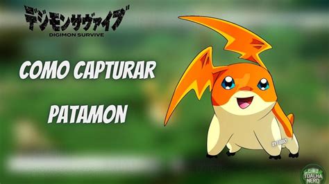 Patamon Wallpapers - Top Free Patamon Backgrounds - WallpaperAccess