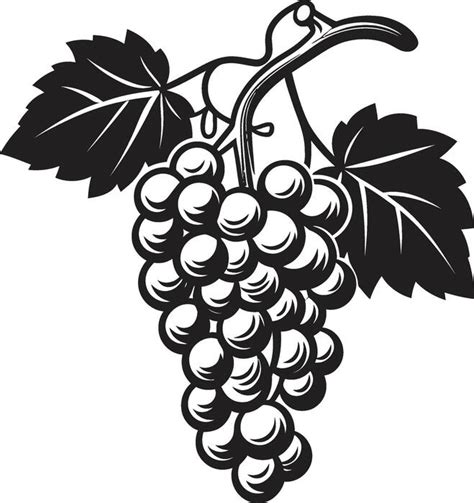 grapes vector art icons  graphics