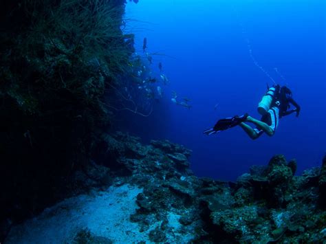 The 9 Best Snorkeling and Scuba Diving Sites in Turks and Caicos