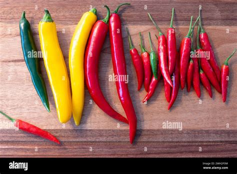 Small Red Hot Chili Peppers And Big Green Yellow And Red Hot Chili Peppers Arranged On A Snack