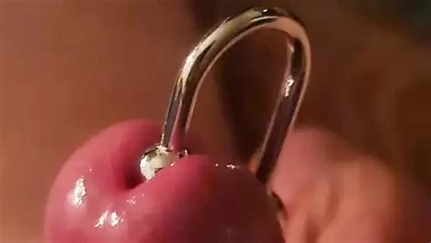 Rhonchus S Porn Videos And Reels Nude Photos And Bio On XHamster