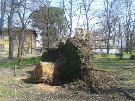 Cascine c è chi si fa un selfie con quel che resta della devastazione