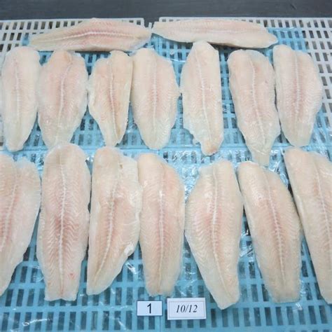 Panga Fish Fillet - Pangasius Hypophthalmus | Eximany