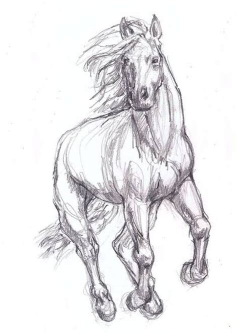 Running Horse Sketch. - Etsy