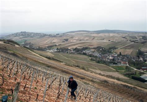 Sancerre La Côte des Monts Damnés 2021 Bottlescouts