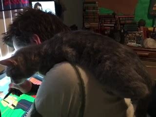 Pussy Likes To Watch Pornhub