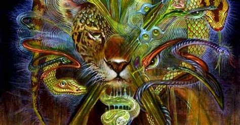 Ayahuasca Art Ayahuasca Art Pinterest Tattoo Psychedelic And