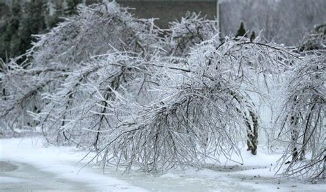 Pin by Debbie Schaffner on 2009 Ice Storm in Kentucky | Ice storm ...