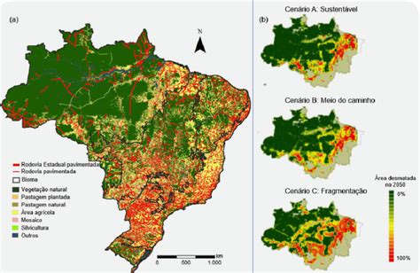 7 Rodovias Pavimentadas Cnt 2017 E Cobertura E Uso Da Terra No