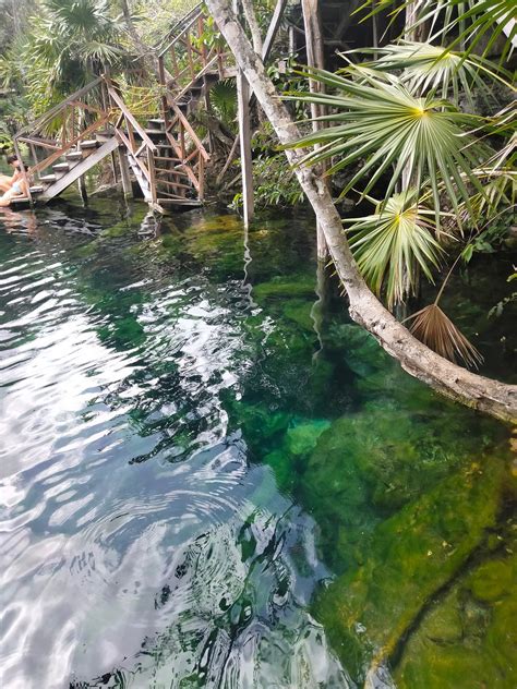 Cenote Jardin del Eden – Cenotes Of Mexico