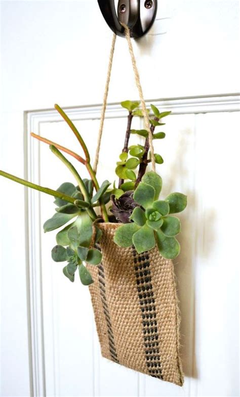 38 Indoor Succulent Display Ideas To Beautify Your Home HomeMydesign