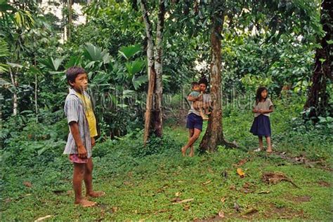 Ecuador Amazon Rainforest Rio Napo Near Coca L Flickr