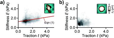 Spatial Correlation Of Cell Stiffness And Traction Forces In Cancer