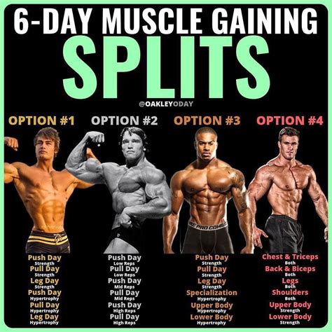 8 Powerful Muscle Building Gym Training Splits - GymGuider.com ...