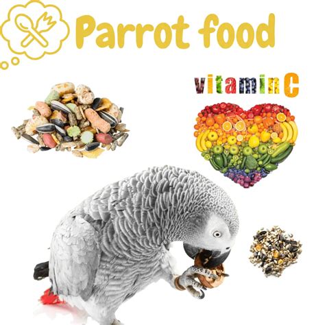 Parrot Food What Parrots Can Eat Best Parrot Food