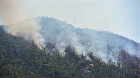 Hay 24 Incendios Forestales Activos En Nueve Estados Del País Mvs