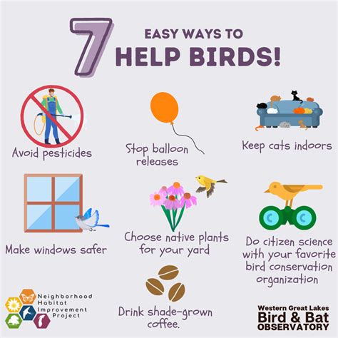 7 Easy Ways to Help Birds – Wisconsin Bird Conservation Partnership