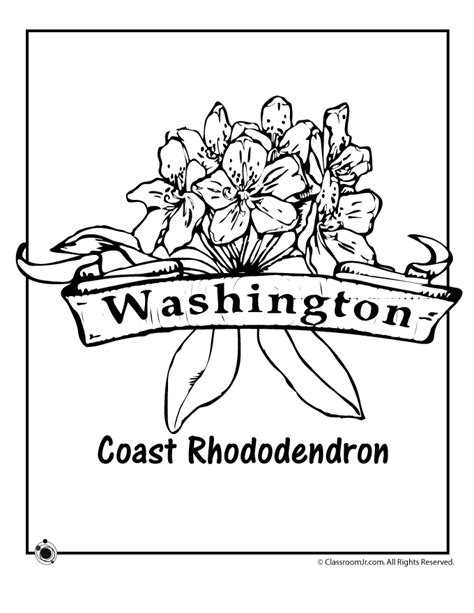 Washington State Flower Coloring Page | Woo! Jr. Kids Activities ...