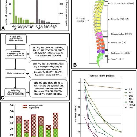 Revised Tokuhashi Score System For The Prognosis Of Spinal Metastasis