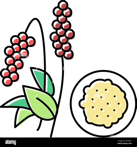 Amaranth Groat Color Icon Vector Illustration Stock Vector Image And Art