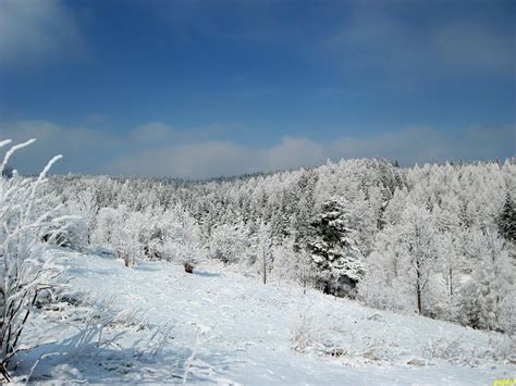 Karpackie Migawki Garnek Pl