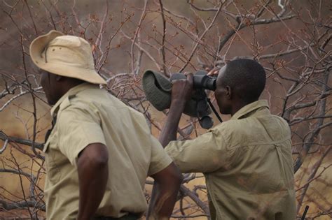 Help Protect Free-Roaming Black Rhino in Namibia - GlobalGiving