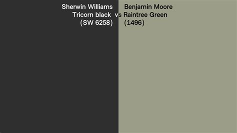 Sherwin Williams Tricorn Black SW 6258 Vs Benjamin Moore Raintree