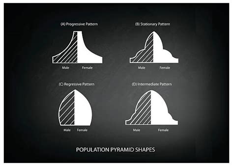 Population Pyramid Illustrations, Royalty-Free Vector Graphics & Clip ...