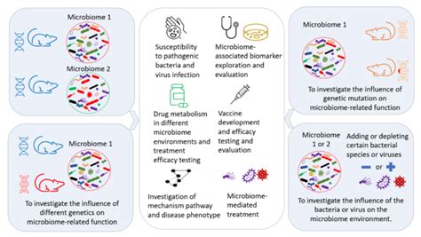 Exploration of the potential applications of microbiome transfer in ...