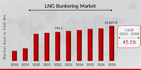 Lng Bunkering Market Size Share Growth Report