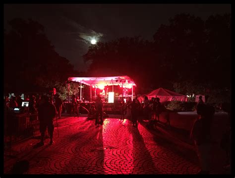 congo square  zachary sewall fine