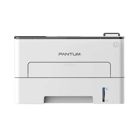 Printer Pantum Mono Laser Single Function P Dw White