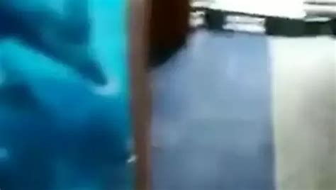 Casi Me Pillan Free Solo Man Porn Video F XHamster