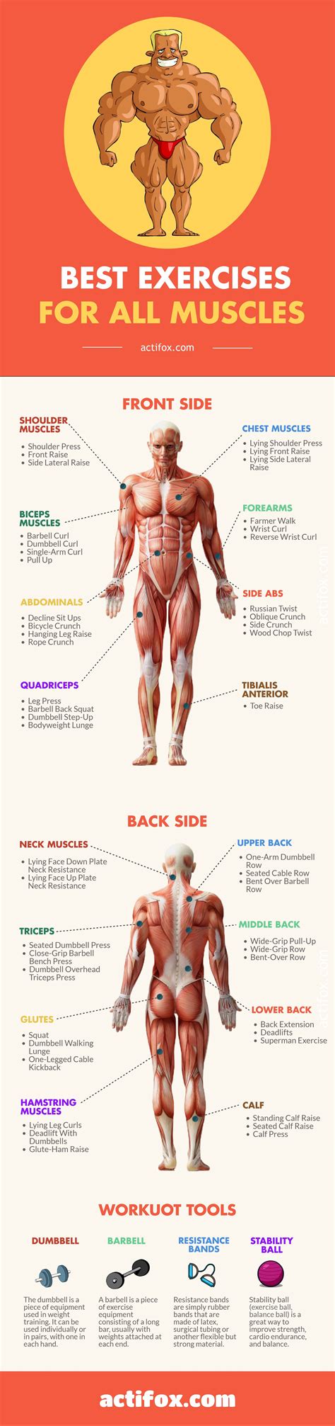 Exercises Per Body Part at Israel Patch blog
