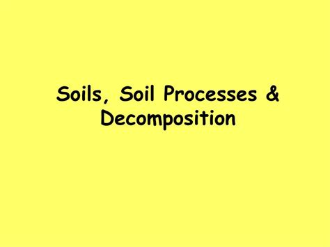 PPT - Soils, Soil Processes & Decomposition PowerPoint Presentation - ID:6227114