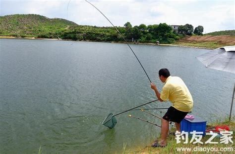 野外釣魚打窩誘魚技巧 每日頭條