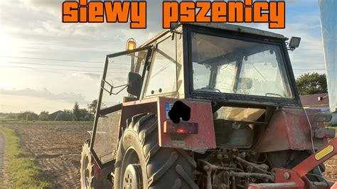 Wieczorne Siewy Pszenicy Ursus Poznaniak Dzkie W Obiektywie