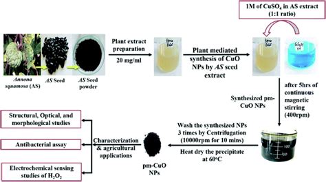 Tunable Electrochemistry And Efficient Antibacterial Activity Of Plant