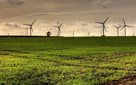 Sunlight Landscape Nature Grass Field Green Farm Wind Turbines