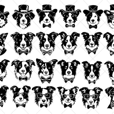 Border Collie Svg Etsy