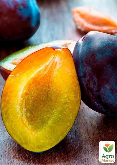 Слива "Блэк Бьюти": купить в Одессе, Киеве и Украине - Agro-Market